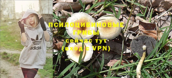 скорость Алексеевка