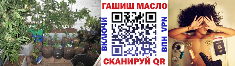 kraken tor  как найти   Грайворон  ТГК THC oil 