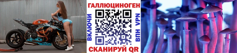 Галлюциногенные грибы Magic Shrooms  блэк спрут вход  Грайворон  цены  